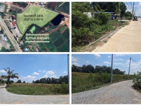 ขายที่ดิน แปลงสวย พนัสนิคม ชลบุรี ติดถนน 3 ด้าน 12-3-71 ไร่