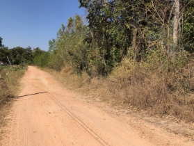 ขายที่ดิน บ้านหลักศิลา   12 ไร่ 1 งาน 50 ตารางวา  เป็นที่ไร่ติดถน