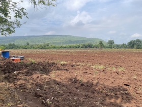 ขายที่ดิน(เจ้าของขายเอง) ติดถนนสุรนารายณ์ (205) โฉนดครุฑแดง 16 ไร