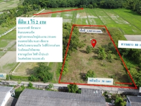 ขายที่ดินสวย ทำเลดี  1 ไร่ 2 งาน อำเภอแม่ใจ จังหวัดพะเยา