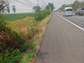 ขายทีดินหนองแวงนางเบ้า อำเภอพล จังหวัดขอนแก่น