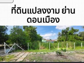 ขายที่ดินเปล่า เหมาะสำหรับสร้างที่พักอาศัย หอพัก ซอยวัดเวฬุวนาราม